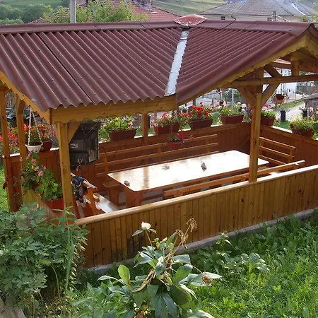 Snezhana Yagodina